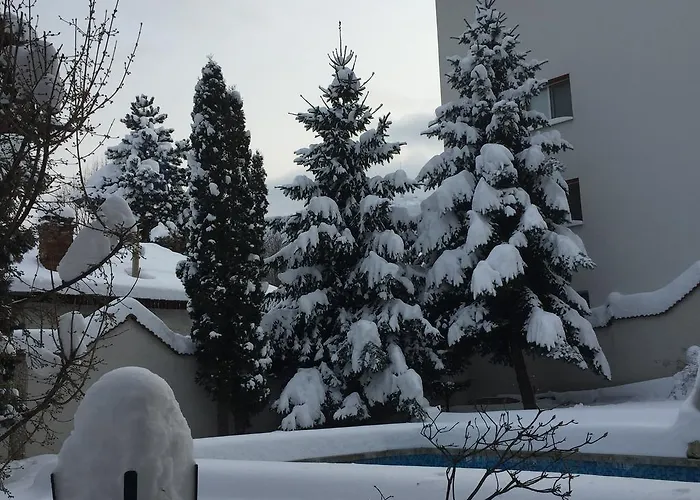 за гости момчил